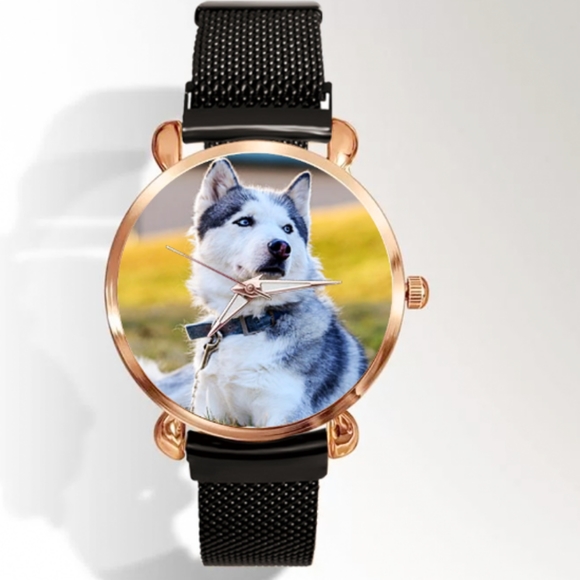 Canadian Eskimo Dog Watch - Picture 6 of 7